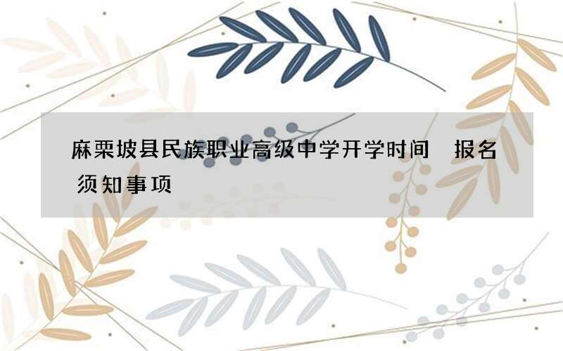 麻栗坡县民族职业高级中学开学时间 报名须知事项